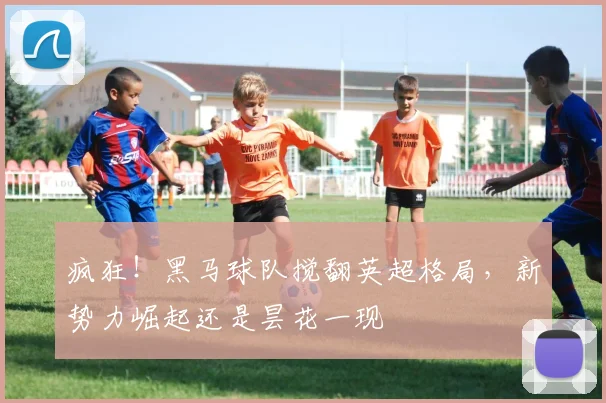 疯狂！黑马球队搅翻英超格局，新势力崛起还是昙花一现